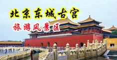 男女日大骚逼中国北京-东城古宫旅游风景区